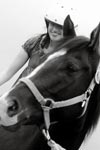 Missy, Hippotherapy horse