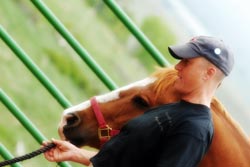 Volunteer for Front Range Hippotherapy